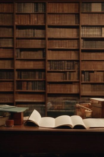 How are American Literature and the American Identity Interrelated