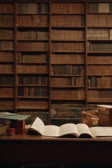 How are American Literature and the American Identity Interrelated